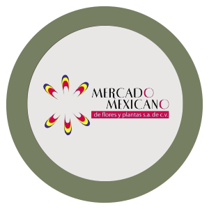 Mercado Mexicano de Flores y Plantas